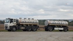 Почти 600 тыс. тонн молока произвели на Ставрополье в 2025 году