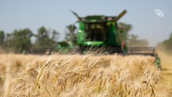 Более 1,5 млн тонн зерна обмолотили в Ставропольском крае