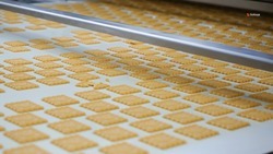 Более 80 новых наименований продукции начали выпускать предприятия Ставрополья