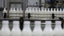 Экспорт мясной и молочной продукции нарастили на Ставрополье на 24%