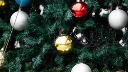 В новогодней акции «Движения первых» на Ставрополье поучаствовали порядка 25 тыс. человек