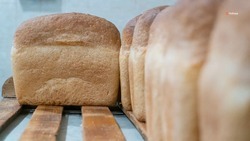 Более 20 хлебопекарен Ставрополья получат субсидии на расходы в октябре