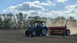 Ставропольские аграрии получили 93% об общего объёма господдержки