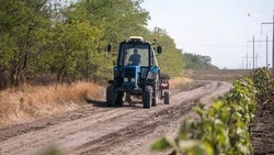 Ставропольские аграрии засеяли 100 тыс. га подсолнечника