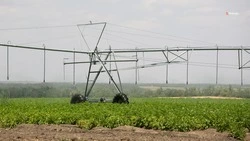 На Ставрополье планируют охватить мелиорацией 137 тыс. га к 2030 году