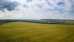 Цены на аренду земельных участков на Ставрополье не изменятся в 2023 году 
