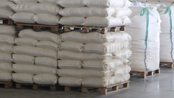 Экспорт продукции АПК Ставрополья в 2024 году превысил 1,4 млн тонн