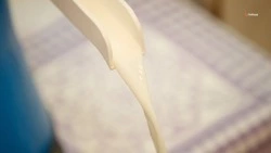 Валовое производство молока выросло на Ставрополье на 4,5%