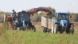 Белорусскую сельхозтехнику начнут собирать на Ставрополье