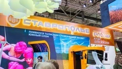 Три годовых абонемента в спорткомплексы Ставрополья разыграли в Москве
