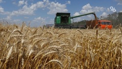 Ставропольские аграрии более чем на 90% выполнили план по севу яровых
