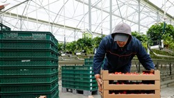 Инвестпроект по созданию фруктохранилища реализуют на Ставрополье