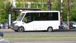 Три новых маршрута запустили в Труновском округе