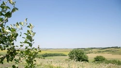 Жара и ливни обрушатся на Труновский округ с 17 по 23 июня