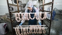Пищевая промышленность Ставрополья пополнится инвестпроектами на 14 миллиардов рублей
