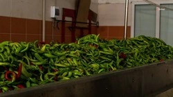Сертификаты производства органической продукции получили два предприятия на Ставрополье