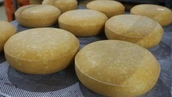 Господдержка помогла ставропольчанке нарастить производство сыров