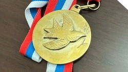 Победителем конкурса на лучшую медаль для участника СВО стал школьник из Труновского округа