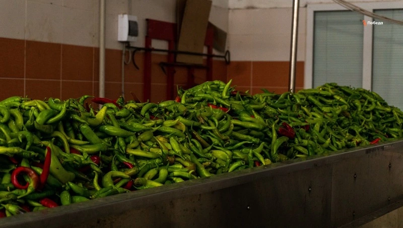 Сертификаты производства органической продукции получили два предприятия на Ставрополье