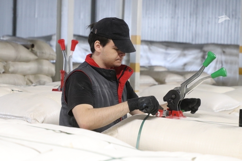 Экспорт продукции собственного производства наращивают на Ставрополье