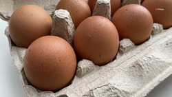 Розничные цены на яйца снизились на 4,6% на Ставрополье 