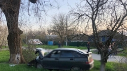 Водитель разбившейся на Ставрополье машины мог умереть от инфаркта