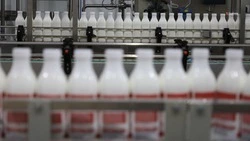 Ставрополье на 9% нарастило экспорт пищевой продукции