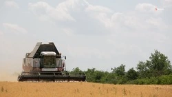 Чемпионат по пахоте на Ставрополье соберёт российские и иностранные команды