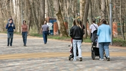 На Ставрополье проживает около 50 тыс. многодетных семей