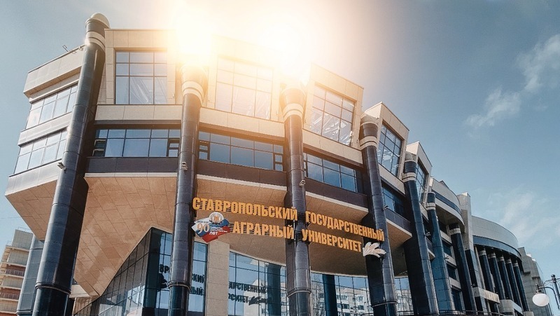 Мир проект институт