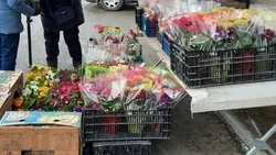 В канун Международного женского дня в Пятигорске проходят цветочные ярмарки