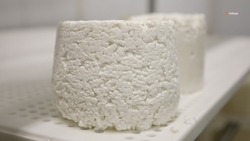 Ставрополье нарастило экспорт молочной продукции, напитков и шерсти