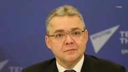 Глава Ставрополья: поддержка производства тепличных овощей увеличится в 1,8 раза