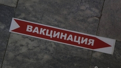 Пять случаев махинаций с поддельными сертификатами о вакцинации выявили на Ставрополье