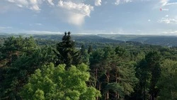 Действие противопожарных ограничений в лесах продлили на Ставрополье