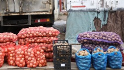 На Ставрополье вырос урожай картофеля на 15%
