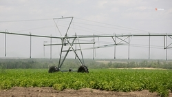 Оросительные системы помогут увеличить урожайность на Ставрополье — губернатор