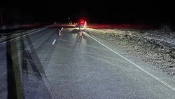 Мужчина, в полночь оказавшийся на дороге в Труновском округе, погиб в ДТП