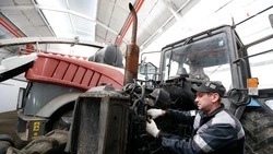 На Ставрополье собрали кукурузу с 41% площадей — губернатор