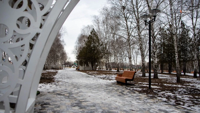 Благоустройство парка стартовало в Труновском округе