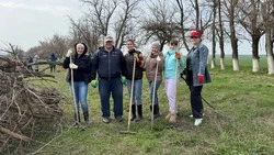 Субботник провели в Труновском округе