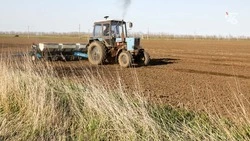 Четыре округа Ставрополья приступили к осеннему севу