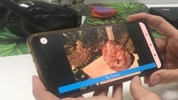 Почти трёхкилограммовый «метеорит» продаёт житель Ставрополья за миллион рублей