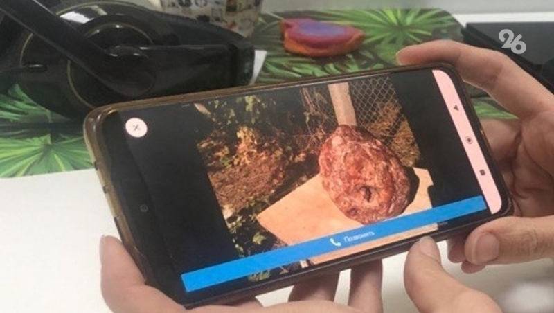 Почти трёхкилограммовый «метеорит» продаёт житель Ставрополья за миллион рублей