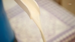 Валовое производство молока выросло на Ставрополье на 4,5%