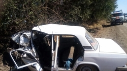 На Ставрополье водитель легковушки врезался в дерево и погиб