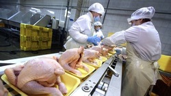 Объёмы экспорта ставропольского мяса птицы возросли на 2%