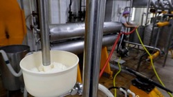 Производство мороженого выросло в Ставропольском крае на 4%