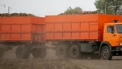 711 тыс. тонн сахарной свёклы собрали на Ставрополье