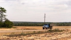Россельхозцентр Ставрополья исследовал партию озимых культур под урожай 2024 года 